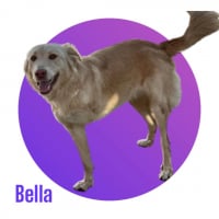 Photo de BELLA