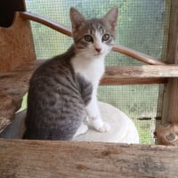 Photo de Bambino