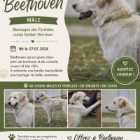 Photo de Beethoven
