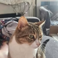 Photo de Danie