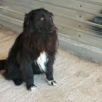 Photo de LUNNA