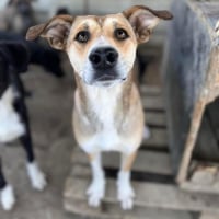 Photo de LUNA
