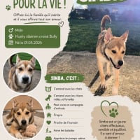 Photo de Simba 
