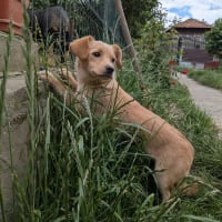 Photo de Thelma