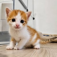 Photo de Bora
