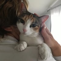 Photo de POUPETTE