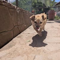 Photo de Nyxen