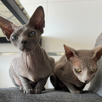 Photo de Anya et Brunilda