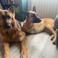 Photo de Maly et Cooper
