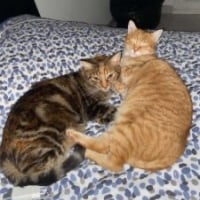 Photo de NALA & CARAMEL