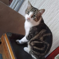 Photo de Buzz