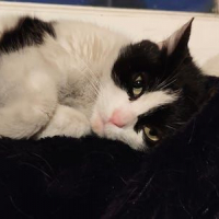 Photo de FÉLICIE