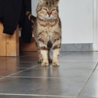 Photo de Bijou