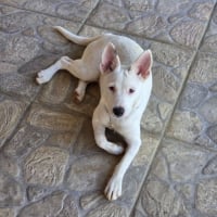 Photo de LOLA