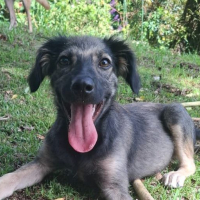 Photo de MAHÉ