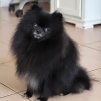 Photo de TRÉSOR