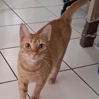 Photo de PRALINE