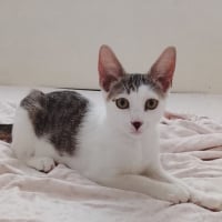 Photo de TWIX