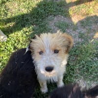 Photo de Lala