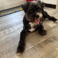 Photo de COCO