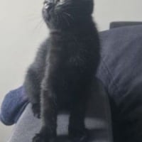 Photo de Moka