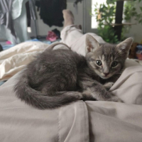 Photo de O'Malley