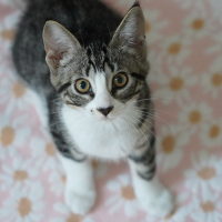 Photo de SEDAN