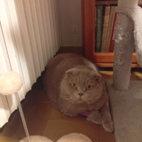 Photo de Griggio