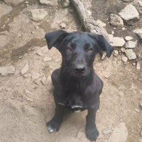 Photo de Zena