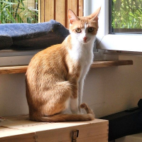 Photo de BLEUETTE