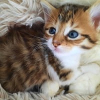 Photo de MABELLE
