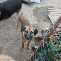 Photo de Zina