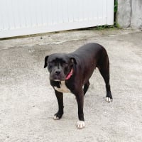 Photo de XENA