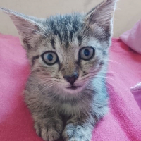 Photo de ZOE