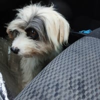 Photo de Maritza