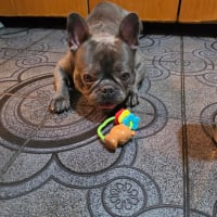Photo de Wally