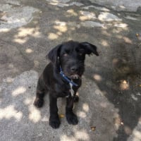 Photo de ralph