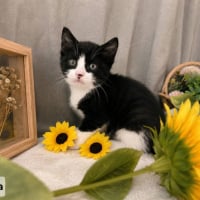 Photo de Luna