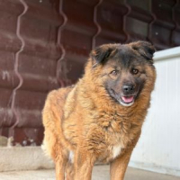 Photo de BEAR