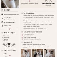 Photo de Chipie