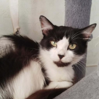 Photo de Béline 2 ans