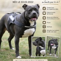 Photo de Xena