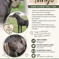 Photo de Tango