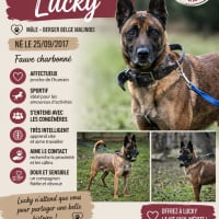 Photo de Lucky