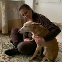 Photo de Kira 3 a l'adoption dans toute la France 