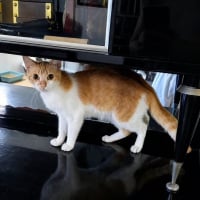 Photo de Alexa