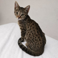 Photo de Praline