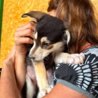 Photo de RUBY