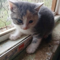 Photo de Lumie