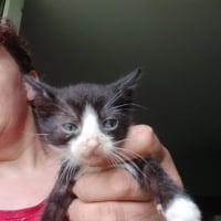 Photo de Figaro
